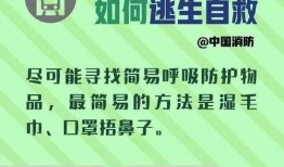 最新地铁逃生爆料大全,最新爆料大全全解析
