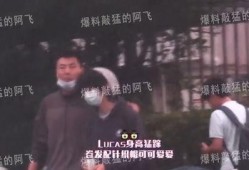 阿飞视频爆料大全最新,揭秘娱乐圈幕后真相